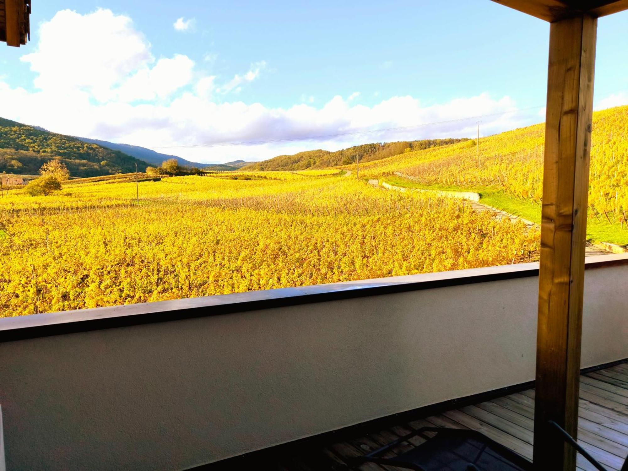 L'Horizon Appartement Bergheim Buitenkant foto